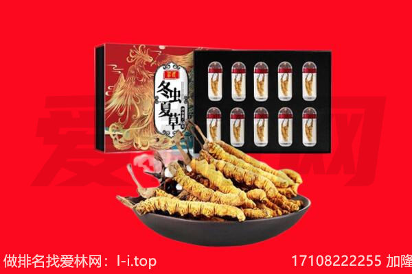 承德平泉市回收虫草.jpg